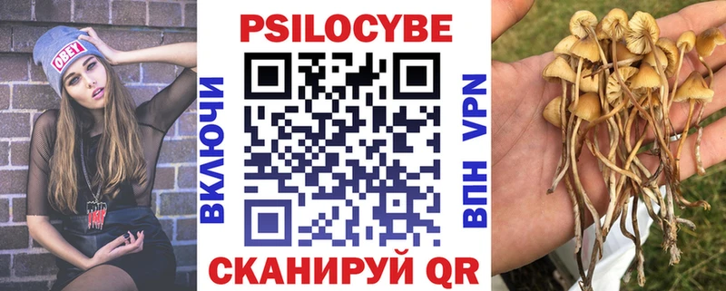 сайты даркнета какой сайт  Ершов  Псилоцибиновые грибы Psilocybe  hydra зеркало 